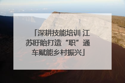 深耕技能培训 江苏盱眙打造“职”通车赋能乡村振兴