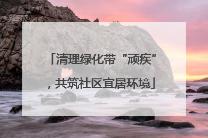 清理绿化带“顽疾”，共筑社区宜居环境