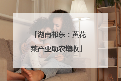 湖南祁东：黄花菜产业助农增收