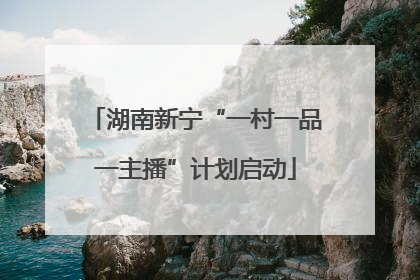 湖南新宁“一村一品一主播”计划启动
