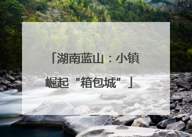 湖南蓝山：小镇崛起“箱包城”