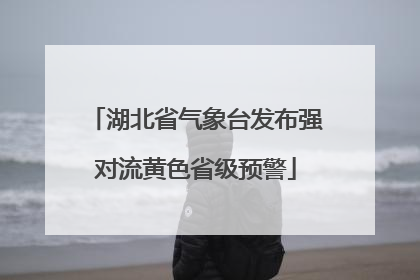湖北省气象台发布强对流黄色省级预警