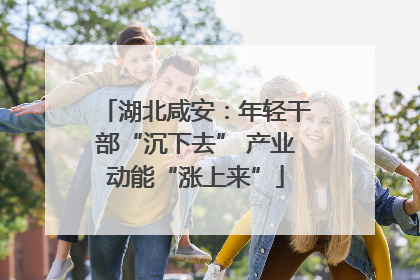 湖北咸安：年轻干部“沉下去” 产业动能“涨上来”