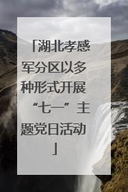 湖北孝感军分区以多种形式开展“七一”主题党日活动