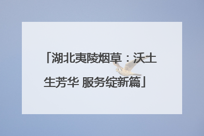 湖北夷陵烟草：沃土生芳华 服务绽新篇