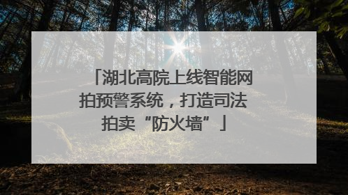 湖北高院上线智能网拍预警系统，打造司法拍卖“防火墙”