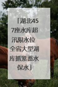 湖北457座水库超汛限水位 全省大型湖库抓紧蓄水保水