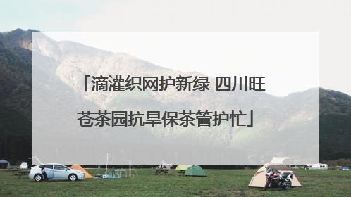 滴灌织网护新绿 四川旺苍茶园抗旱保茶管护忙