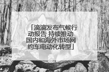 滴滴发布气候行动报告 持续推动国内和海外市场网约车电动化转型