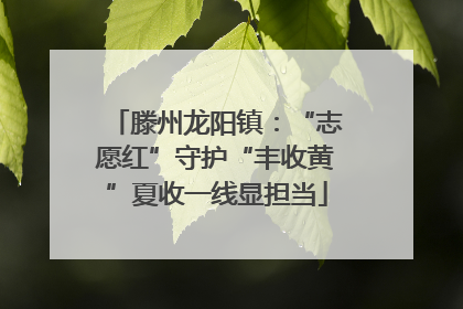 滕州龙阳镇：“志愿红”守护“丰收黄”夏收一线显担当