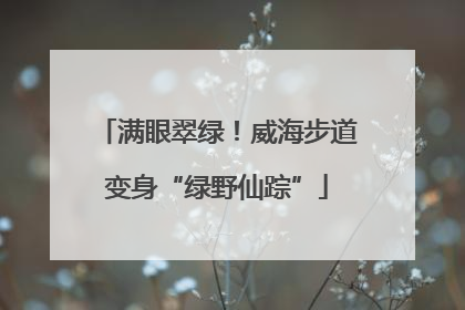 满眼翠绿！威海步道变身“绿野仙踪”