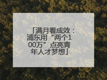 满月看成效：浦东用“两个100万”点亮青年人才梦想