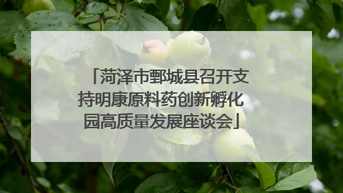 菏泽市鄄城县召开支持明康原料药创新孵化园高质量发展座谈会