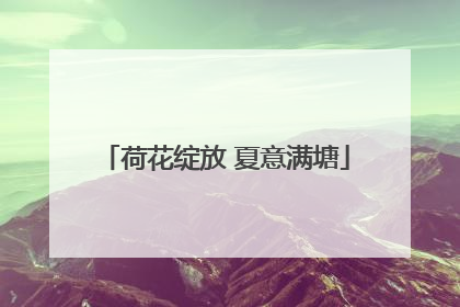 荷花绽放 夏意满塘