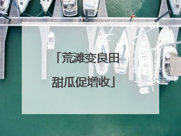 荒滩变良田 甜瓜促增收