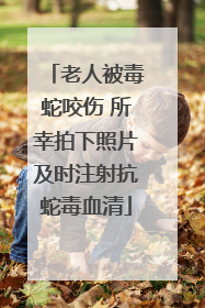 老人被毒蛇咬伤 所幸拍下照片及时注射抗蛇毒血清