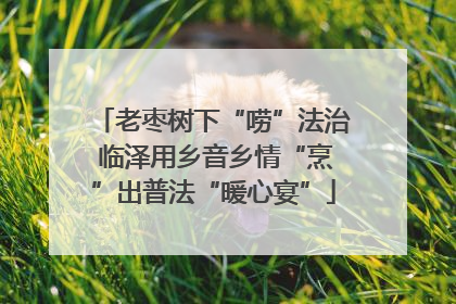老枣树下“唠”法治 临泽用乡音乡情“烹”出普法“暖心宴”