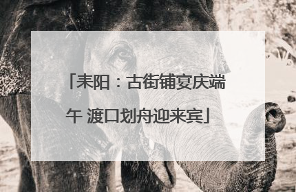 耒阳：古街铺宴庆端午 渡口划舟迎来宾