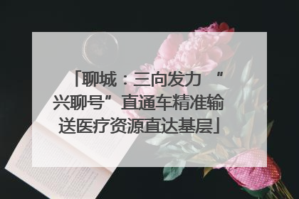 聊城：三向发力 “兴聊号”直通车精准输送医疗资源直达基层