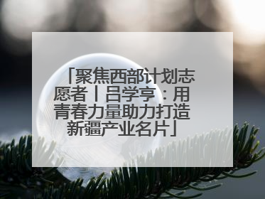 聚焦西部计划志愿者丨吕学亨：用青春力量助力打造新疆产业名片