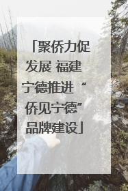 聚侨力促发展 福建宁德推进“侨见宁德”品牌建设