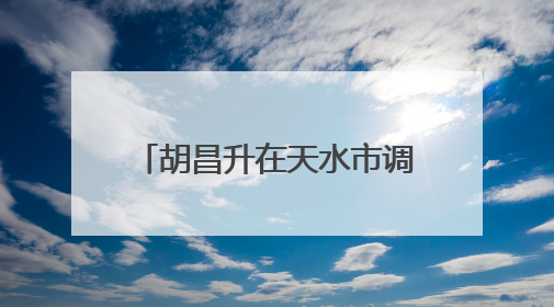 胡昌升在天水市调研时强调：壮大特色产业带动群众增收致富 加强文物保护推动文化创新发展