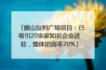 腊山复利广场项目：已吸引20余家知名企业进驻，整体招商率70%