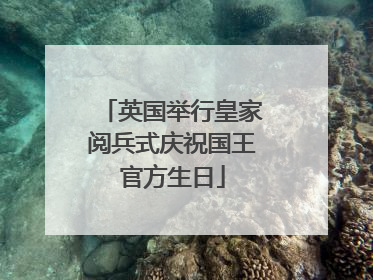 英国举行皇家阅兵式庆祝国王官方生日