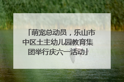 萌宠总动员，乐山市中区土主幼儿园教育集团举行庆六一活动