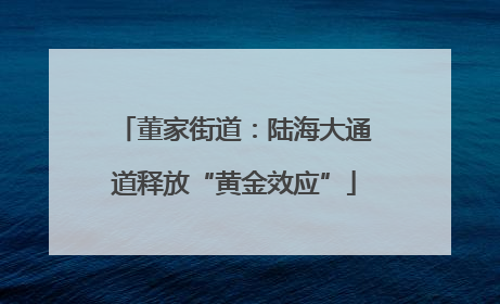 董家街道：陆海大通道释放“黄金效应”