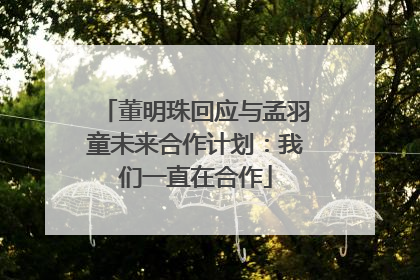 董明珠回应与孟羽童未来合作计划：我们一直在合作