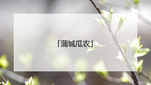 蒲城瓜农