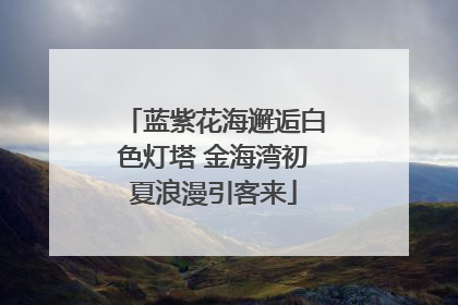 蓝紫花海邂逅白色灯塔 金海湾初夏浪漫引客来