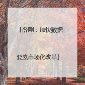 薛刚：加快数据要素市场化改革