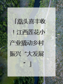 藠头喜丰收！江西莲花小产业撬动乡村振兴“大发展”