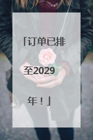 订单已排至2029年！