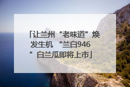 让兰州“老味道”焕发生机 “兰白946”白兰瓜即将上市