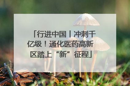 行进中国丨冲刺千亿级！通化医药高新区踏上“新”征程