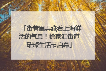 街巷里弄藏着上海鲜活的气息！徐家汇街道璀璨生活节启幕