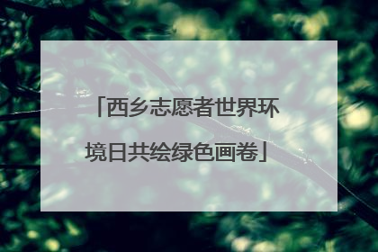 西乡志愿者世界环境日共绘绿色画卷