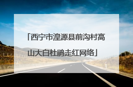 西宁市湟源县前沟村高山大白杜鹃走红网络