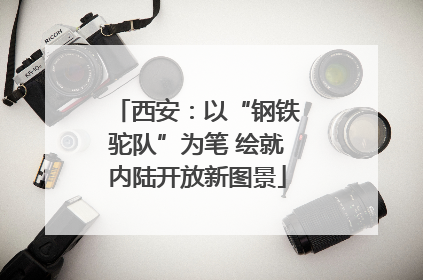 西安：以“钢铁驼队”为笔 绘就内陆开放新图景