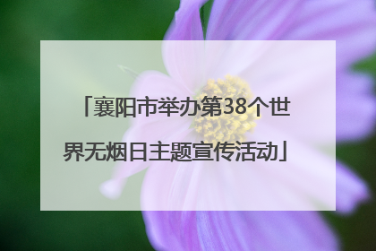 襄阳市举办第38个世界无烟日主题宣传活动