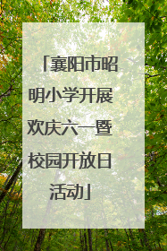 襄阳市昭明小学开展欢庆六一暨校园开放日活动