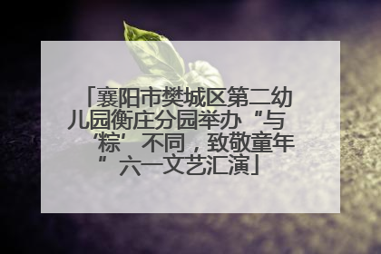 襄阳市樊城区第二幼儿园衡庄分园举办“与‘粽’不同，致敬童年”六一文艺汇演