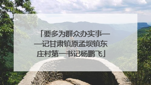 要多为群众办实事——记甘肃镇原孟坝镇东庄村第一书记杨鹏飞