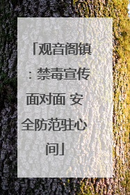 观音阁镇：禁毒宣传面对面 安全防范驻心间