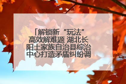 解锁新“玩法” 高效解难题 湖北长阳土家族自治县综治中心打造矛盾纠纷调处“终点站”