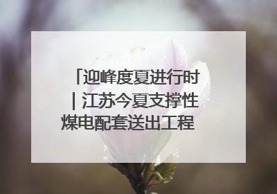 迎峰度夏进行时｜江苏今夏支撑性煤电配套送出工程全部投运