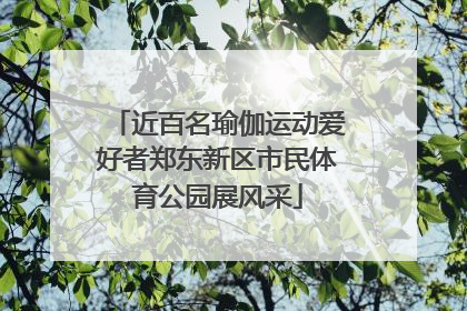 近百名瑜伽运动爱好者郑东新区市民体育公园展风采